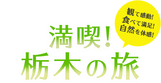 観て感動！食べて満足！自然を体感！満喫！栃木の旅