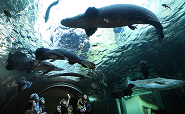 なかがわ水遊園